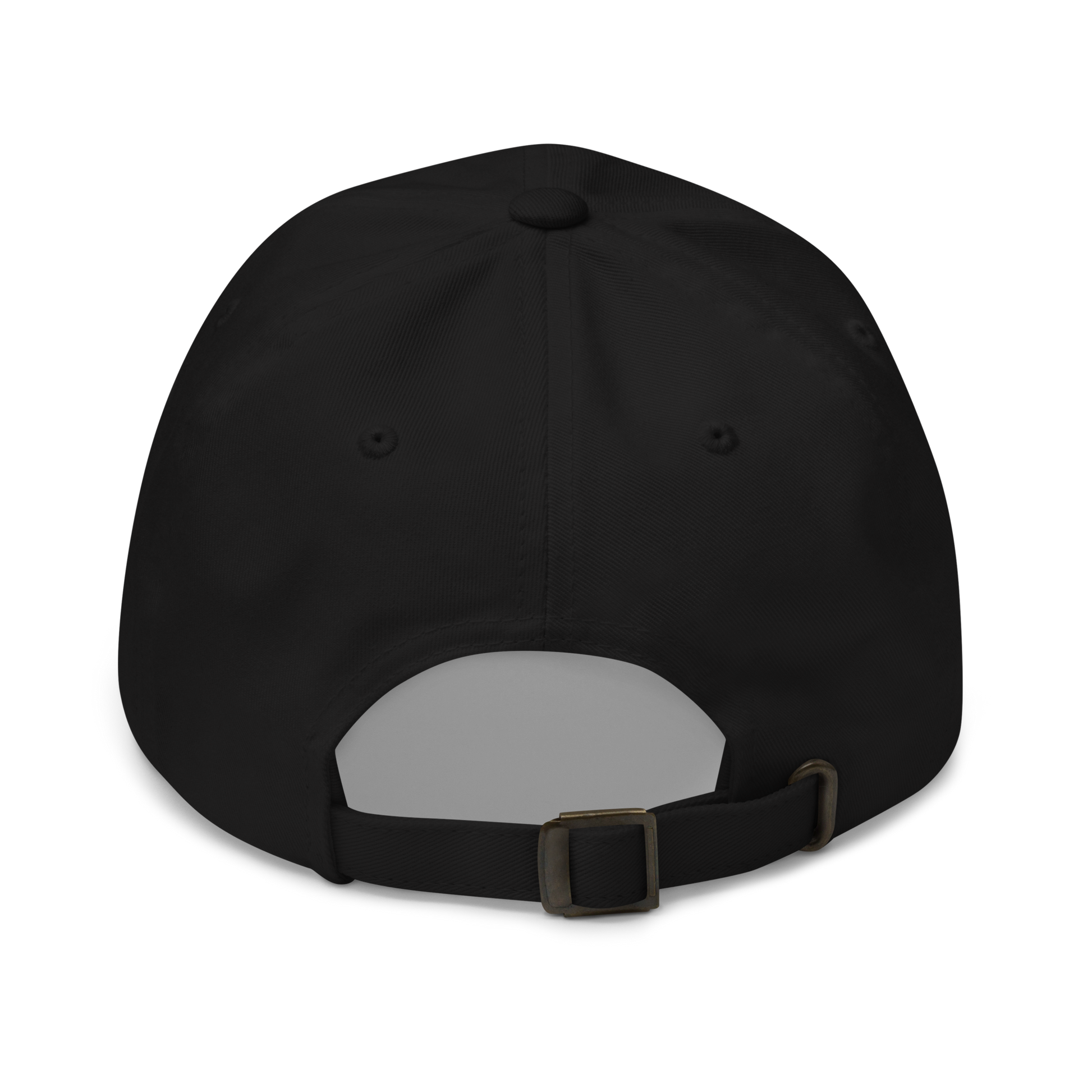 Pilots wear: White Vans RV aircraft customizable design placed on the front of a black baseball cap