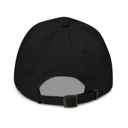 Pilots wear: White Vans RV aircraft customizable design placed on the front of a black baseball cap