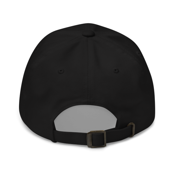 Pilots wear: White Vans RV aircraft customizable design placed on the front of a black baseball cap