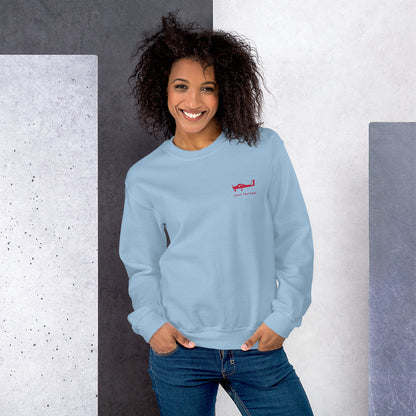 Red Tecnam P92 aircraft customizable design placed on the left breast of a light blue sweatshirt